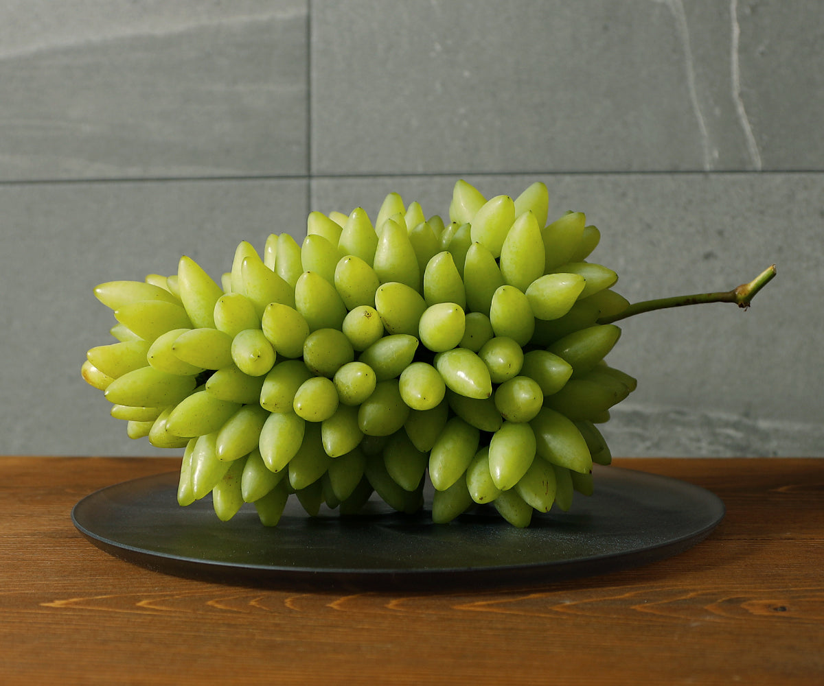 ピッテロビアンコ 2025年完売】2026年8月頃～予約開始予定|松田さんのぶどうピッ